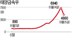 우선주 급제동