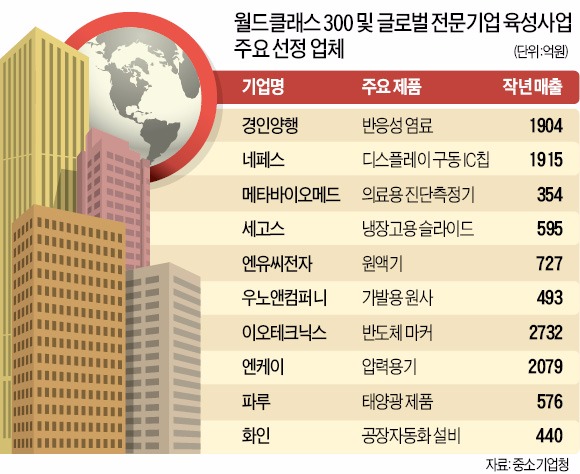 세고스·바텍 등 30개사 '월드클래스300' 기업 됐다