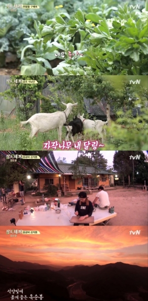 [어제 뭐 봤어?] '삼시세끼'가 자연과 조화되는 방법