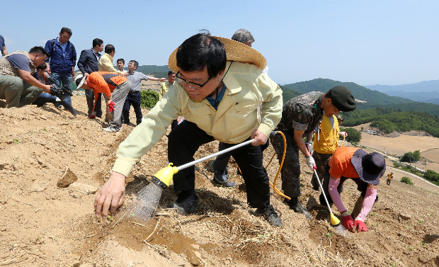 배추 모종에 물주는 이동필 장관