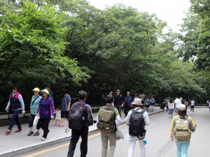 대한민국, 메르스 충격에서 벗어나…고속도로 교통량 늘고 유원지에 인파 몰려