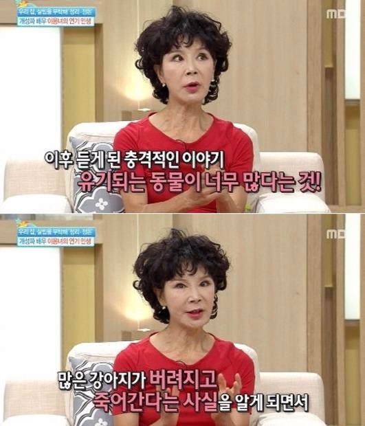 이용녀, 유기견 100마리 키운 이유가…'안타까워'(사진=기분좋은날 이용녀 캡쳐)