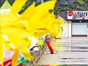 "세월호 분향소·리본 철거해달라" 팽목항 주민, 정부에 탄원서