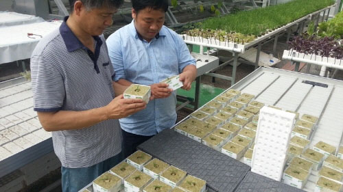 고려아카데미컨설팅, 토마토 산지에서 전문 교육과정 운영