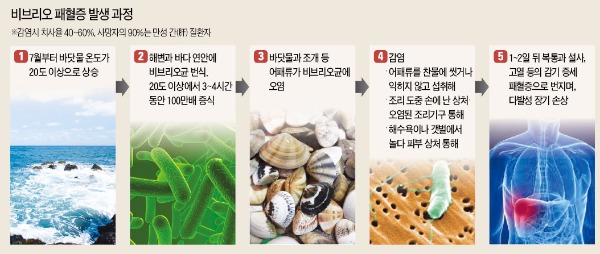 '여름철 불청객' 비브리오 패혈증…어패류는 익혀서 먹어야 안심