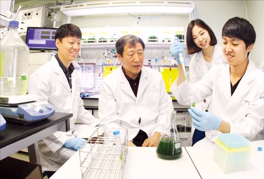 장용근 차세대바이오매스연구단장(왼쪽 두 번째)과 연구원들이 미세 조류를 이용한 바이오 연료 생산실험을 하고 있다. 차세대바이오매스연구단 제공