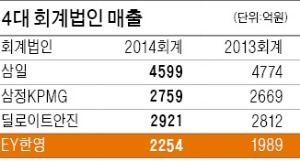 [마켓인사이트] EY한영, 나홀로 두 자릿수 매출 증가