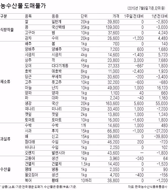 가뭄 탓, 양파 값 5년래 최고 수준