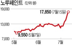 페인트주, 알고보니 이란 핵타결 수혜주