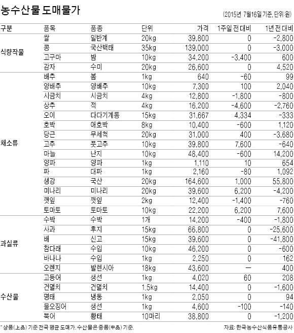 [농수산물 시세] 수박 가격, 작년보다 10% 떨어져