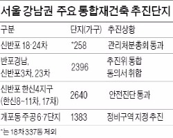 서울 강남권 첫 통합 재건축단지 나왔다