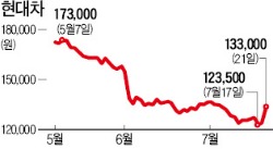 달러 강세·9월 중간배당…현대차 7% 넘게 올라