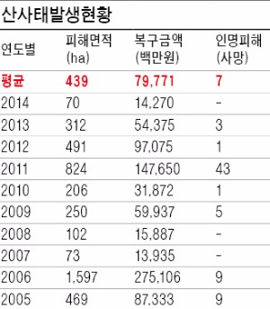  바람 안 부는데 나무 흔들리면 산사태 징후…산림청에 신고해야