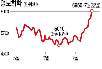 영보화학·건설화학·진양화학…화학주 아니라 건자재주 였네