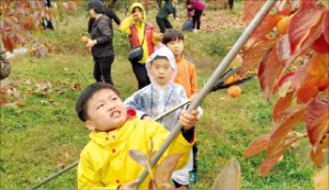 [팜스테이] 반딧불 보고 다슬기 잡고 '야호'