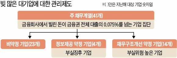 '동양 사태' 잊었나…빚 많은 대기업관리 '구멍'