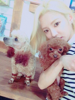 소녀시대 효연, 미모 뽐내며 강아지와 찰칵 &#34;재미있게 보았어요?&#34;