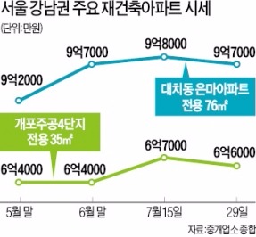 ['대출 억제' 부동산시장 전망] 강남 재건축단지 매수세·호가 주춤…강북 뉴타운·신도시는 큰 영향 없어