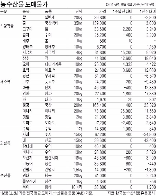 '휴가철 특수' 상추 값 한달새 114% 상승