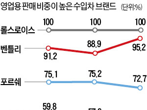 수입차, '무늬만 회사차' 과세 강화 앞두고 업무용 비중 더 늘었다