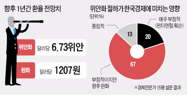 "위안화 더 떨어질 것…달러당 원화값 1200원대가 적정"