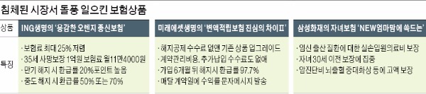 소비자 마음 꿰뚫은 '족집게 보험 상품' 인기몰이