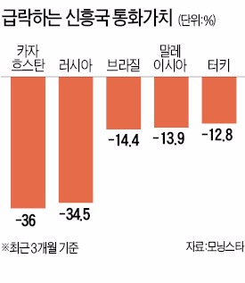 [먹구름 짙어지는 글로벌 경제] 신흥국 통화 급락 '도미노'