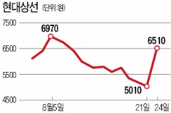 남북 경협주 현대상선 상한가