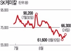 SK케미칼 계열분리 기반 닦나…최창원 부회장, 또 주식 매입