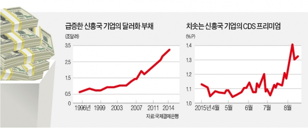 [신흥국 위기설 확산] 신흥국 기업 짖누르는 달러 빚…통화가치 급락으로 상환 '허덕'