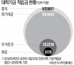 정부 "대학기금 주식투자 제한 풀겠다"