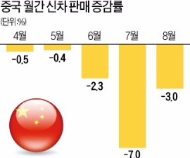 중국 신차 판매 5개월 연속 감소