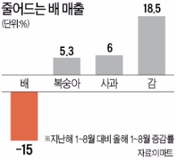 인기 시들해진 배, 품종 다변화로 '반격'