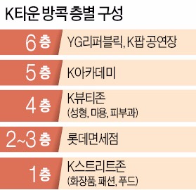 [동남아 10개 도시에 'K타운'] K팝·푸드·뷰티·쇼핑 한곳에서 즐겨…'한류 비즈니스' 쾌속질주