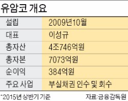 [새틀 짜는 기업 구조조정] 유암코는…국내 최대 부실채권 투자회사