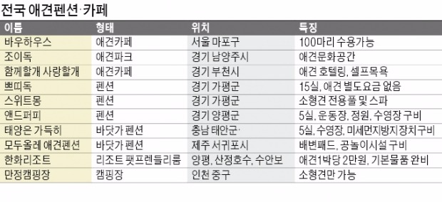 "개 1박에 12만원…빈방 없어요"