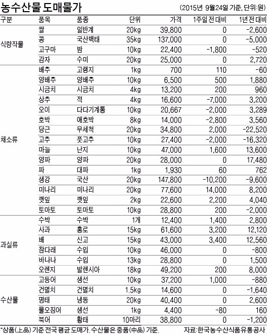 [농수산물 시세] 애호박 가격, 추석 앞두고 오름세