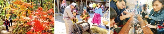 단풍·불꽃·한우…가을빛 축제로 물들다