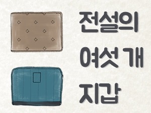 [1기자 1랩] '6개 지갑'의 전설…터닝메카드 신화