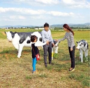  경기 안성팜랜드의 초지 산책로 