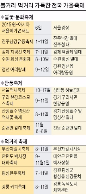 단풍·불꽃·한우…가을빛 축제로 물들다