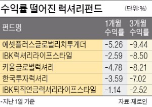 '투자 자제령' 떨어진 럭셔리·소비재펀드