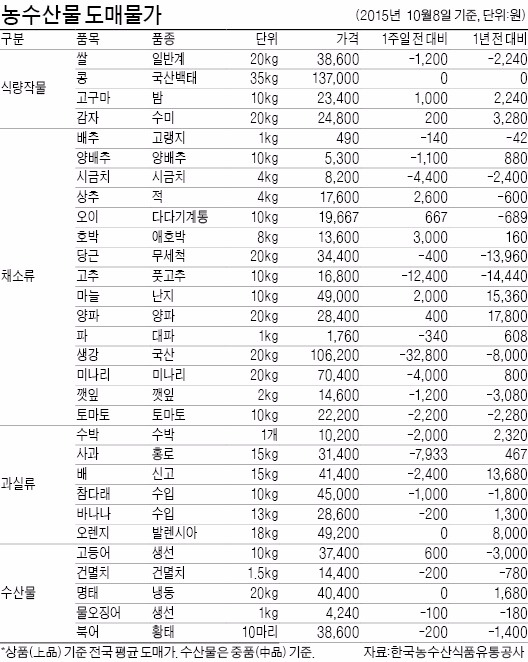 [농수산물 시세] 채소류 가격 줄줄이 하락세