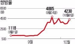 무조건 버는 게임? 쌍방울 유상증자 투자 '대박' 조짐