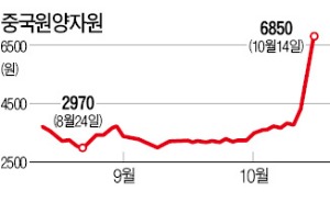 상하이지수 지지부진한데…중국 관련주 '이상 급등'