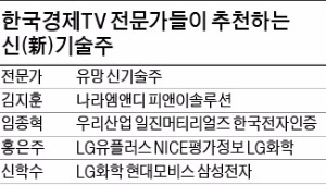 전기차주, LG화학·삼성SDI·코디에스 유망…핀테크 관련주는 한솔테크닉스·아모텍 눈길