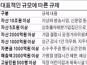  자산·고용 늘린게 죄?…지분소유·의결권·영업시간 '족쇄' 부메랑