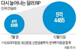 미국 금리 올리기 전에…'弗테크' 활활