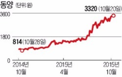 "법정관리 (주)동양 공개매각 안 한다"