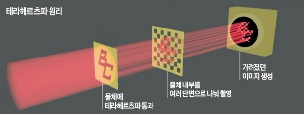 고주파·빛 분석기술로 고미술품·문화재 복원 길 열렸다